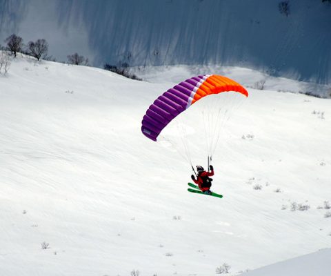 Cyrilde Kamchatka